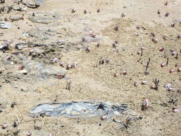 URGENT RELIEF: Cholera Killing Children NEED WATER