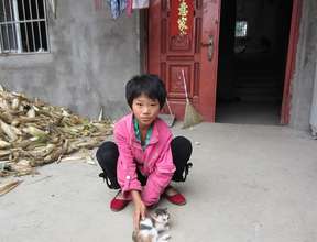 Dian Dian at Home
