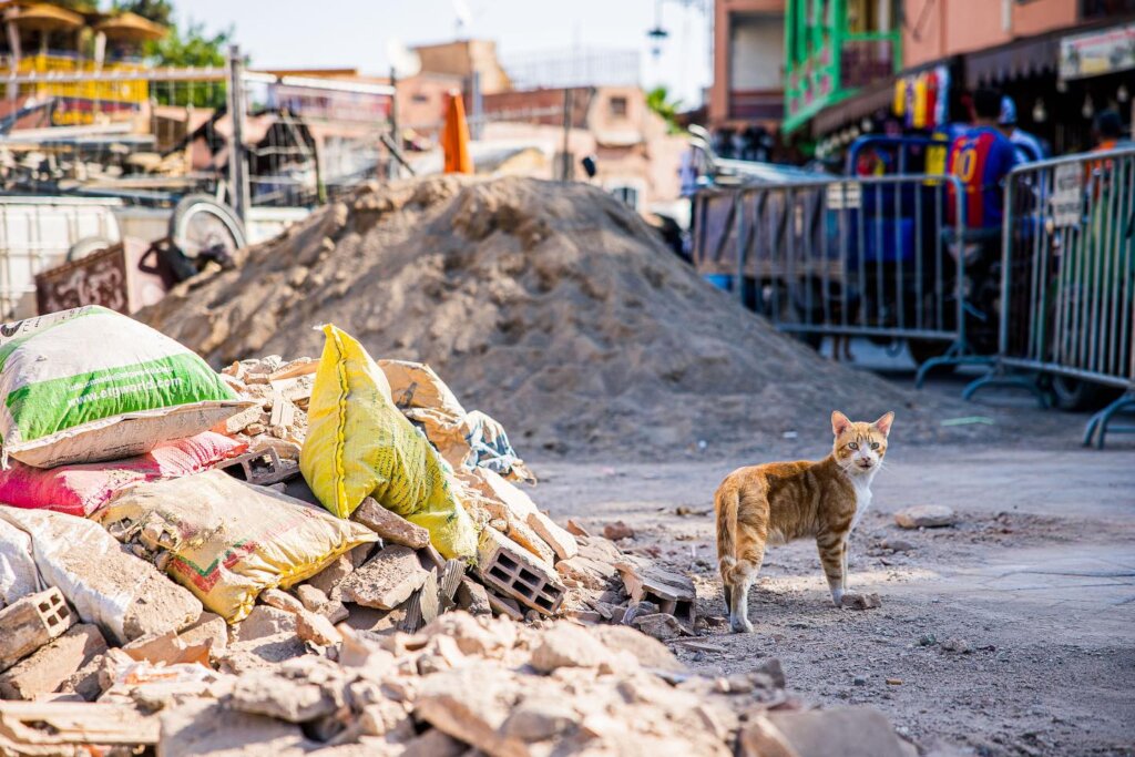 Aid for regain normalcy from Morocco earthquake
