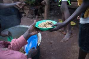 Meals distribution