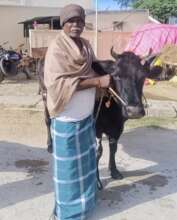 cow farmer samudrapalli