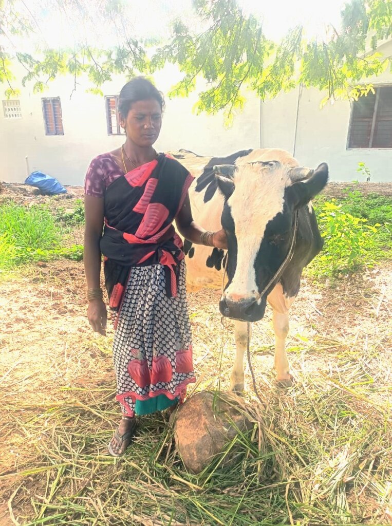 Empowering  Cow Farmers with Modern Tools -India