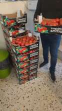 distribution, Tomato Express