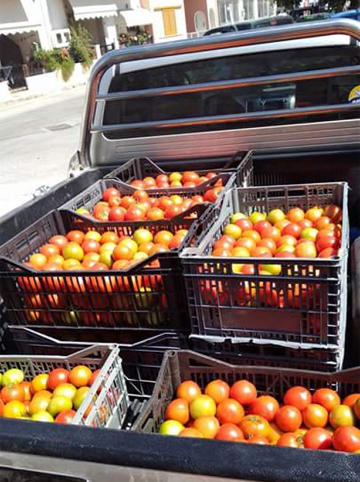 Bringing Unsellable Vegetables to Families in Need