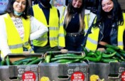 Bringing Unsellable Vegetables to Families in Need