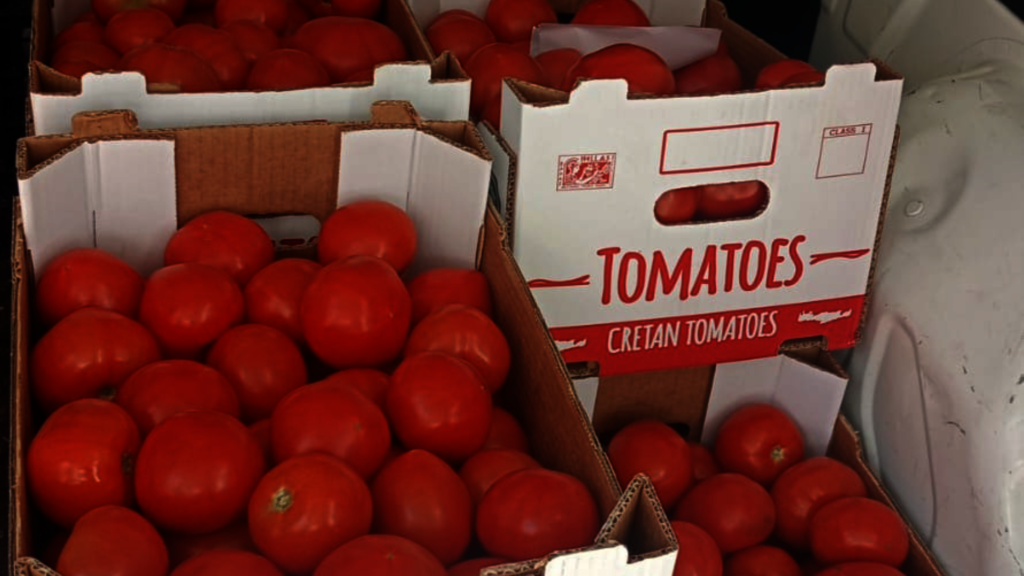 Good, fresh Cretan tomatoes ready for delivery