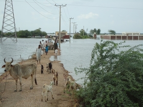 International Medical Corps