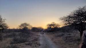 Heading back to Camp after and Evening Game Drive