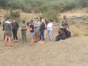 Walk, Identify and Discuss
