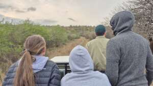 Early Morning Game Drive