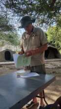 Teaching about trees under a Wild Fig