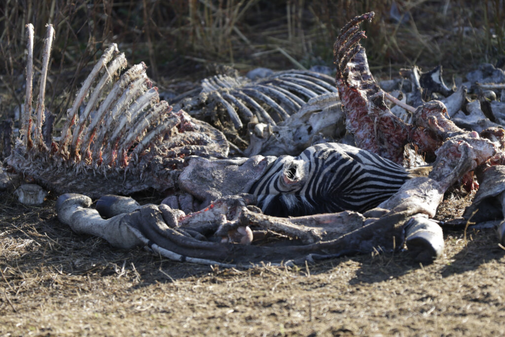 Engaging Youth & Teachers in Eco-Conservation RSA