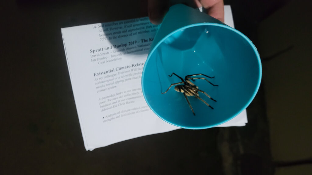 Engaging Youth & Teachers in Eco-Conservation RSA