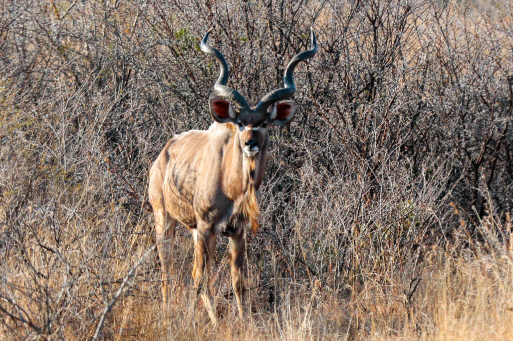 Engaging Youth & Teachers in Eco-Conservation RSA