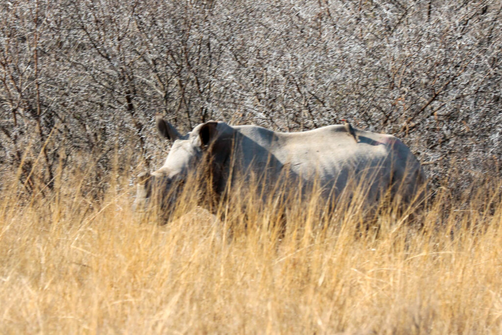 Engaging Youth & Teachers in Eco-Conservation RSA
