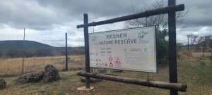 The Arrival at Weenen