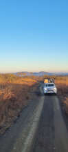 A dawn game drive