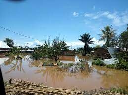 Recycling plastic to oil,cobblestones, plant trees