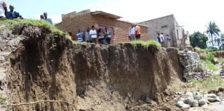 Recycling plastic to oil,cobblestones, plant trees