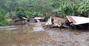 Recycling plastic to oil,cobblestones, plant trees