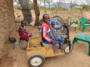New Mobility Cart