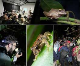Scientists and amphibians found