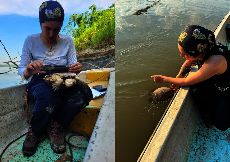 Help Women Forest Rangers Saving Amazon Rainforest