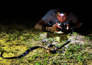 Ranger Johana Castro, amphibian research