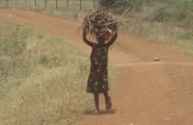 enable 500 kenyan orphans get education and meals 