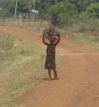 enable 500 kenyan orphans get education and meals