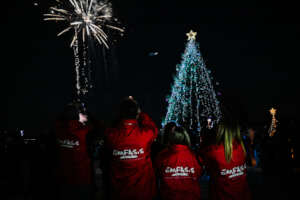Christmas Tree Lightning in Rizovouni