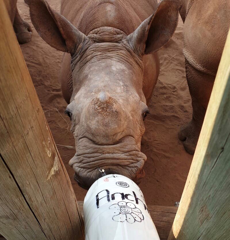 Care for Wild Giving Tuesday