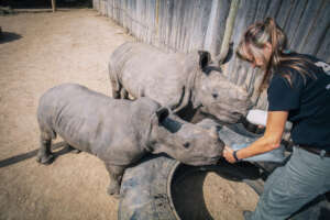 Care for Wild Giving Tuesday