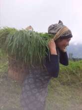 Village offers work, urban study faces strain