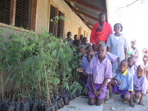 Children happy to receive trees for planting.
