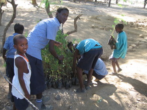 Students planting trees in Magadi, Kenya