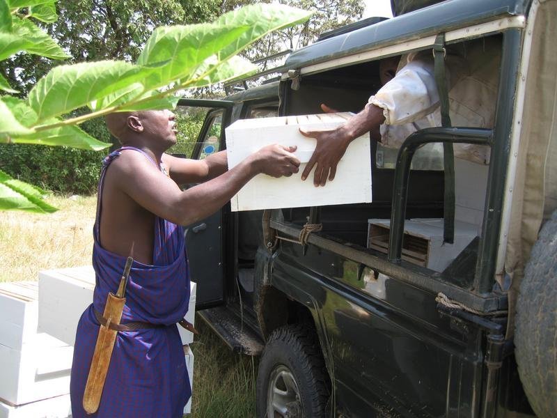 Reverse Deserts Through Community Transformation
