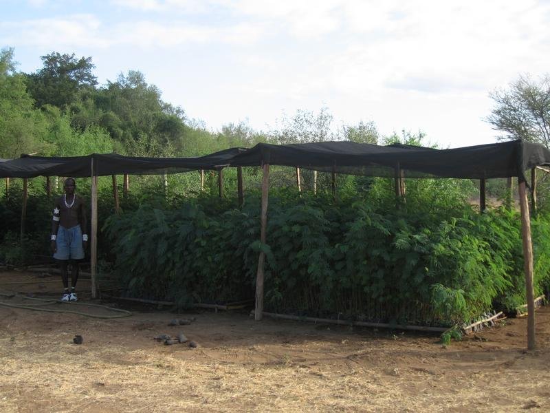 Reverse Deserts Through Community Transformation