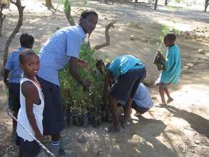 CHILDREN PLANTING TREES AT MAGADI