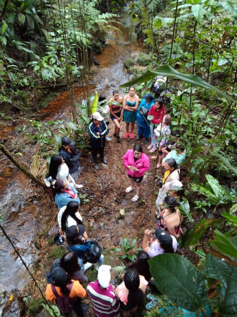 Saving a Critical Wetland for Endangered Frogs