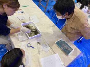 Scat Lab EE PRograms
