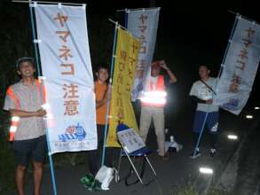 Flags for Roadside