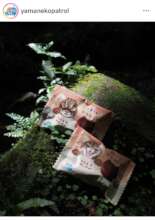 Coony & Family Mart series sweets in Iriomote