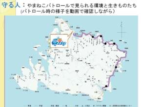 The route driven during the night patrol