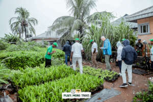 Getting a glimpse at the seedlings in the nursery