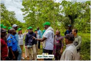 Explanation of different tree areas by Dr Onogholo