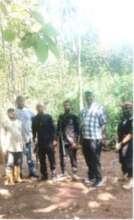 Our Forest Working Team in the forest