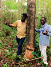Project Manager Festus Onogholo on the left