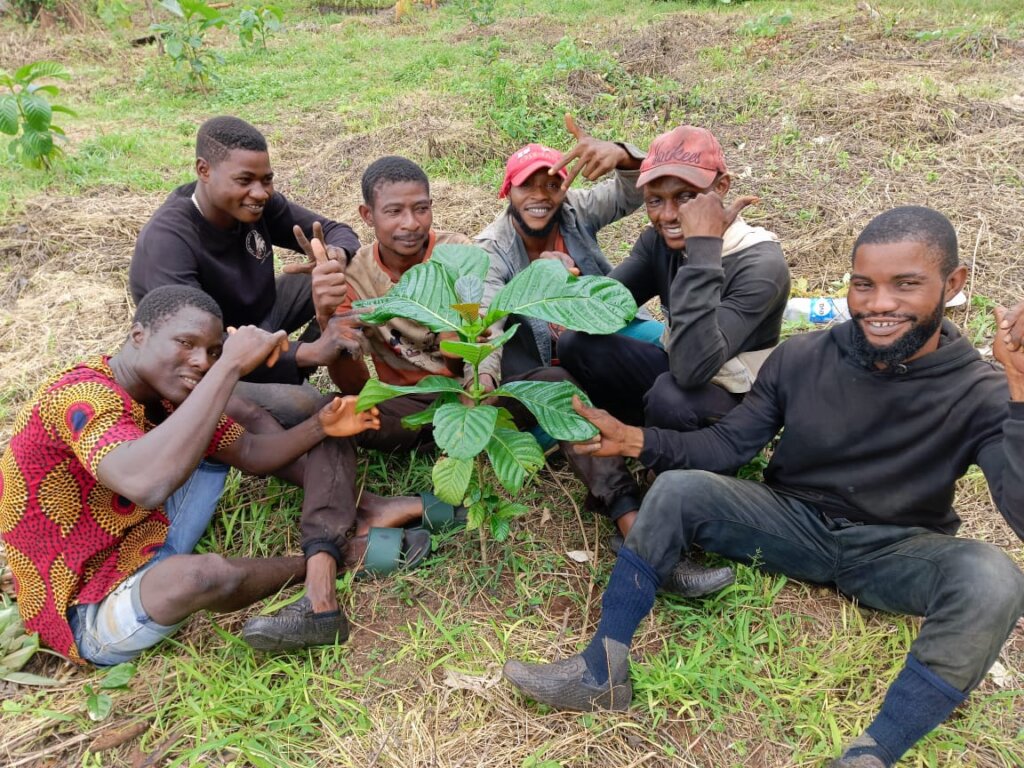Trees for Peace