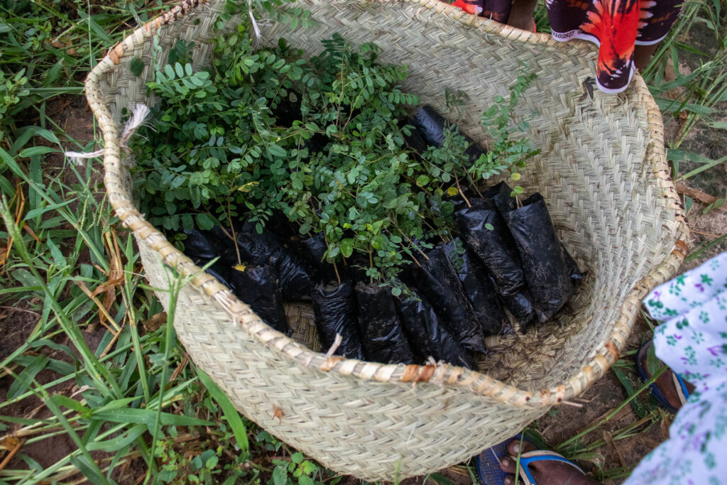 Bicycles for 6 Women Saving Baobabs in Madagascar